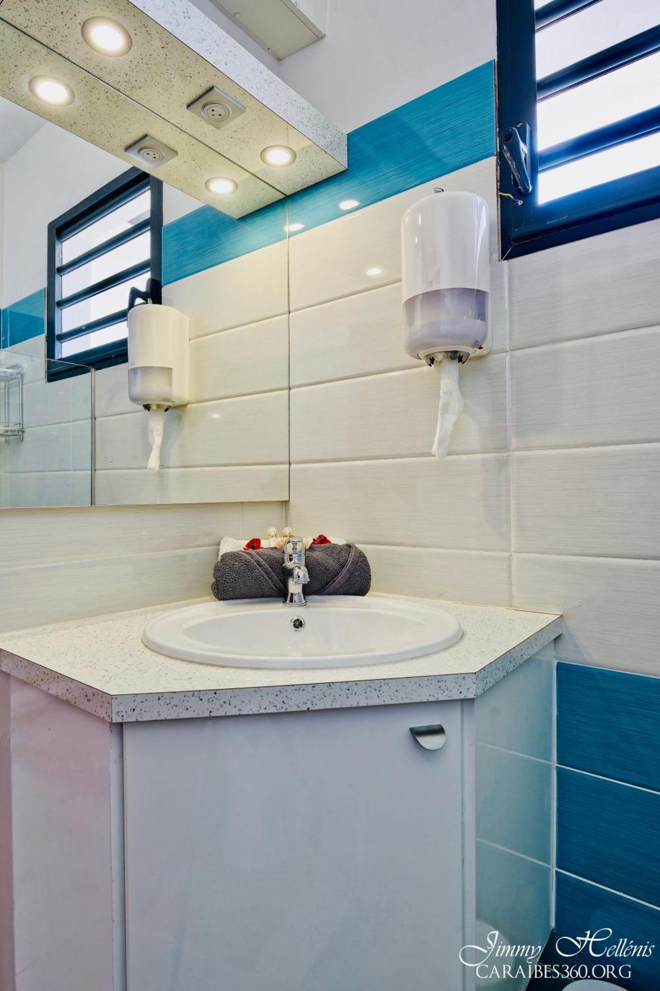 Villa T4 La Sagesse Ws - Piscine Privee Riviere-Salee Екстериор снимка