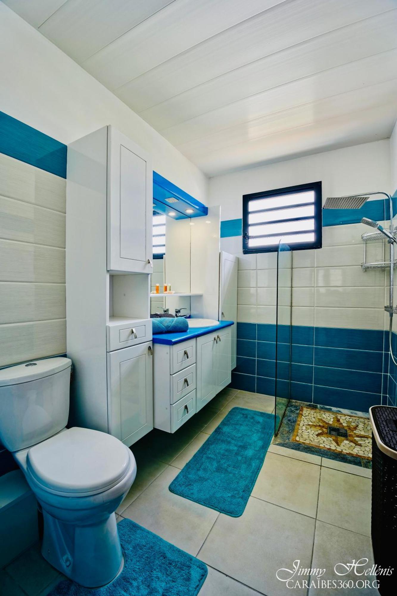 Villa T4 La Sagesse Ws - Piscine Privee Riviere-Salee Екстериор снимка